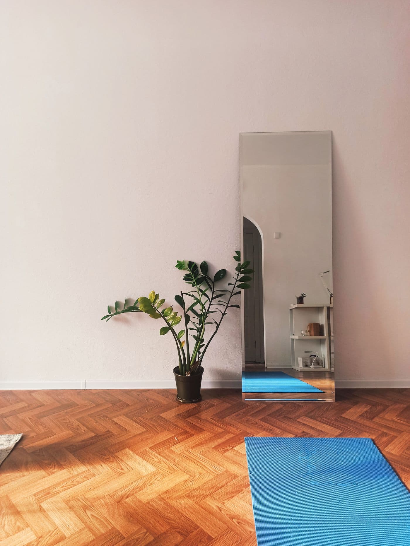 Calm corner of the studio with a mat, mirror and plant
